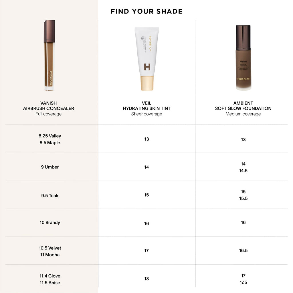 Vanish™ Airbrush Concealer