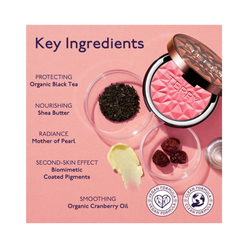 By Terry Tea To Tan Powder Blush 10 ml / 0.34 fl oz